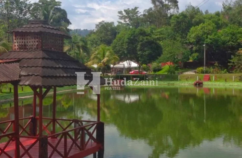 Eco resort (2)