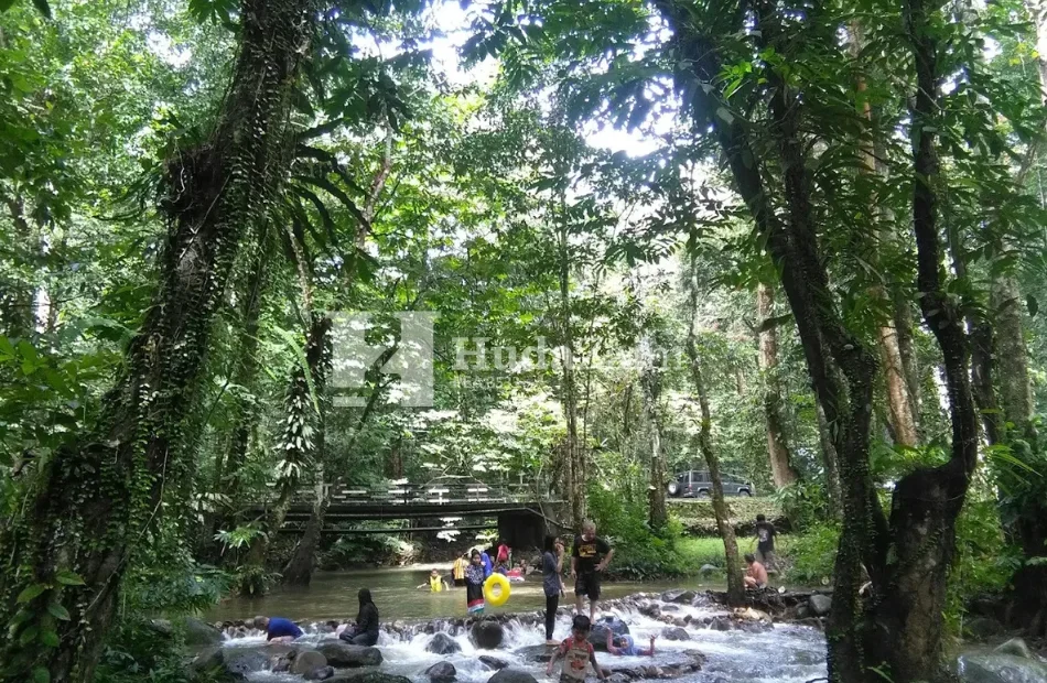 Eco resort (10)