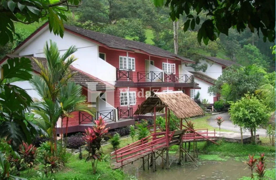 Eco resort (5)