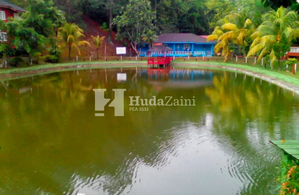 Eco resort (3)
