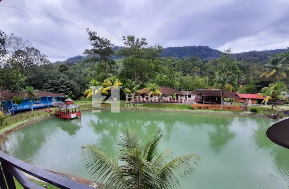 Eco resort (8)