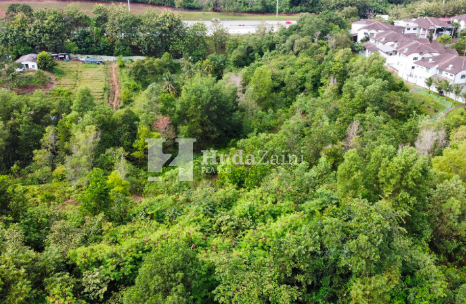 Senawang (4)